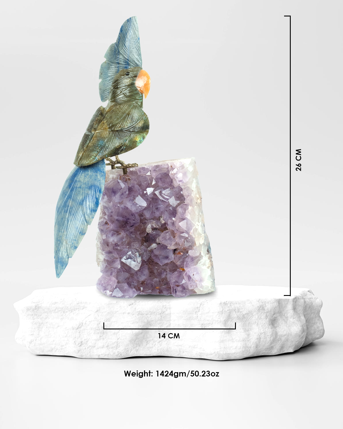 Nightwisdom Bird
