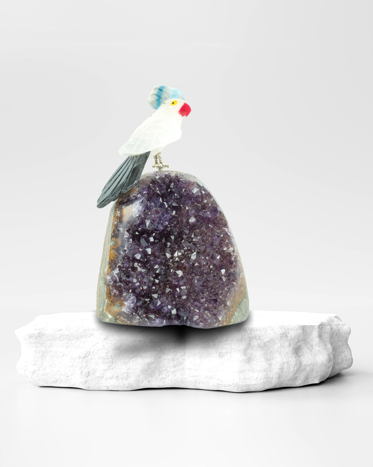 Small Calmana Bird