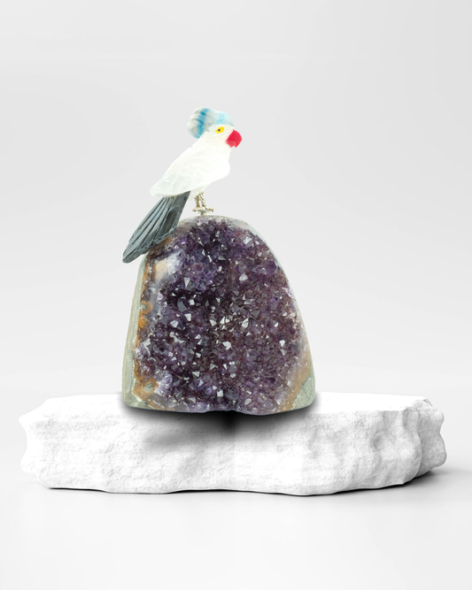 Small Calmana Bird