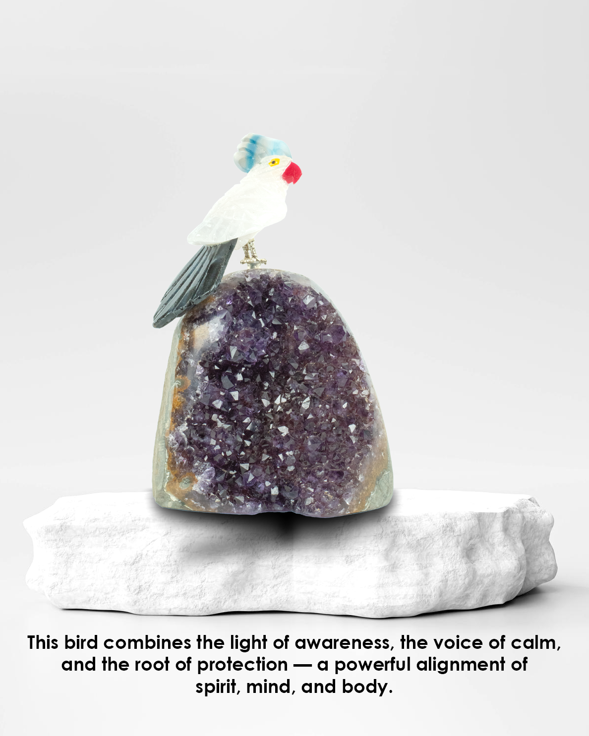Small Calmana Bird