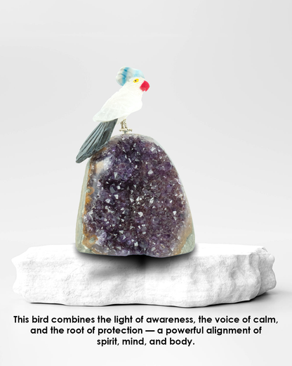 Small Calmana Bird