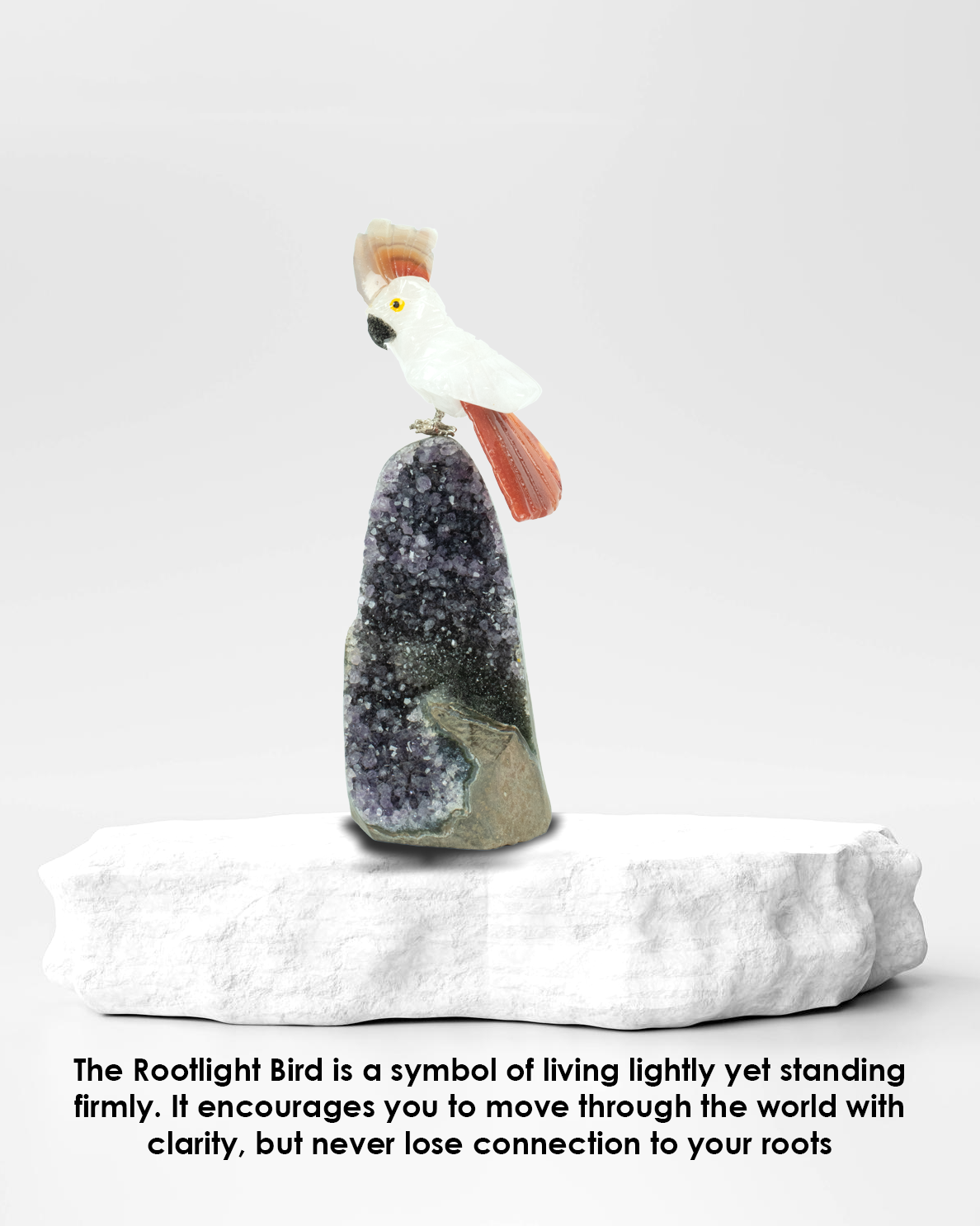 Small Rootlight Bird