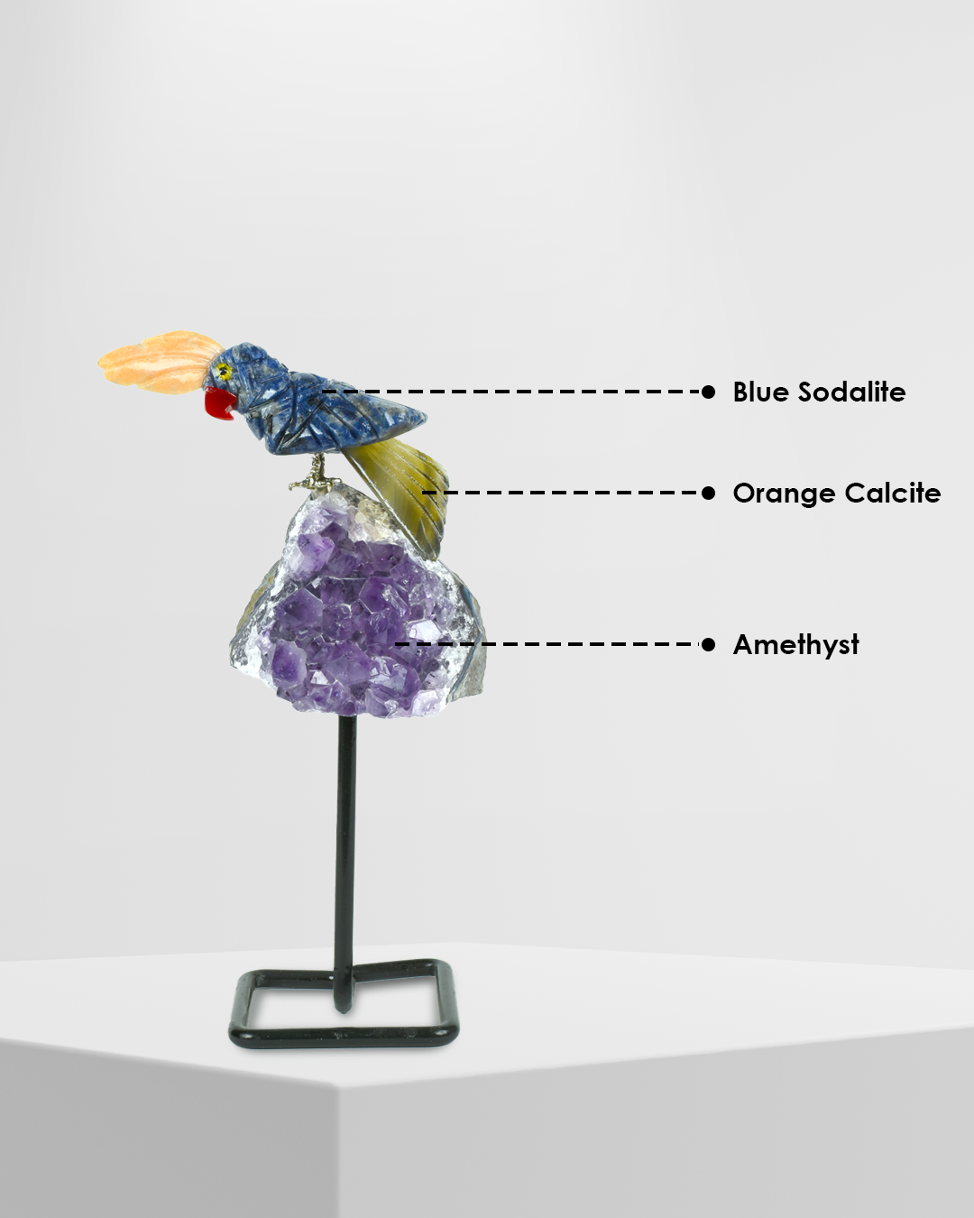 Blue Insight Bird  (Steel Stand )