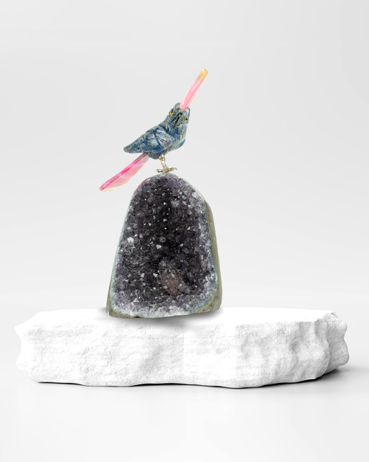 Small Harmony Bird