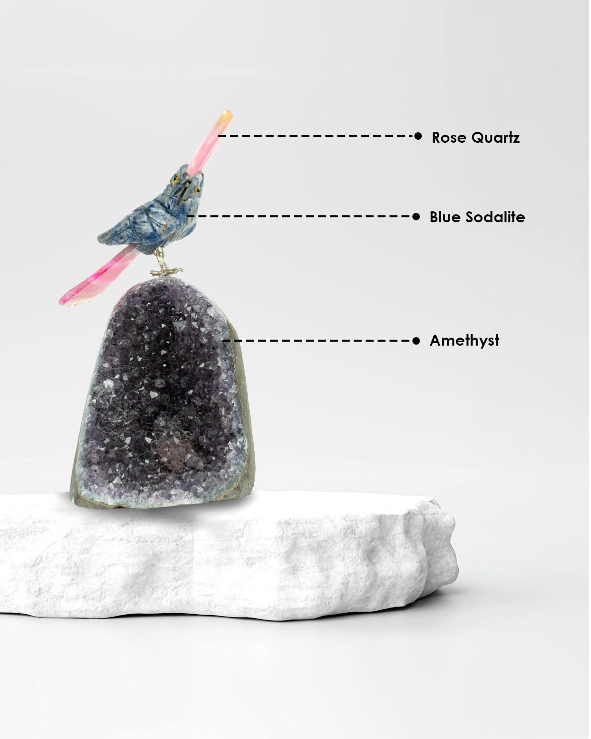 Small Harmony Bird