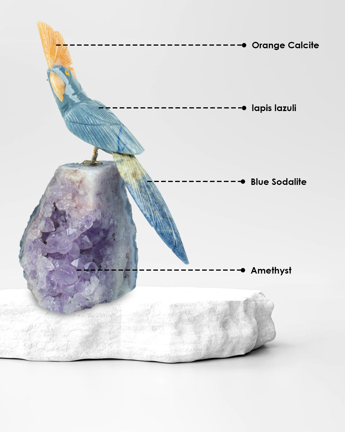 Royal Aura Bird