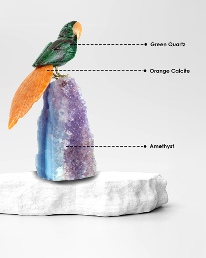 Decorative arrangement with a parrot perched on an amethyst crystal, labeled with types of crystals.