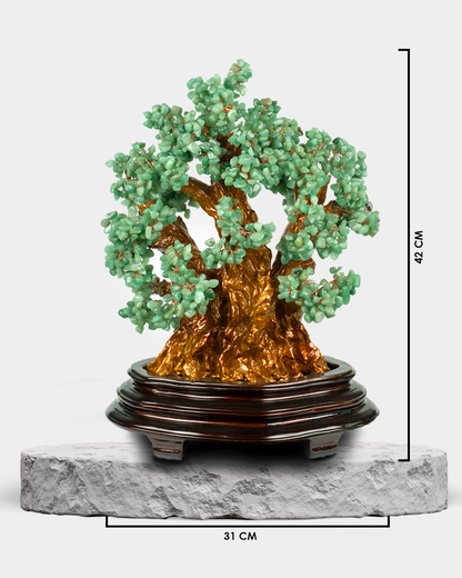 Bonsai Green Jade
