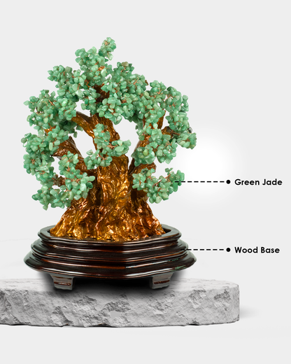 Bonsai Green Jade