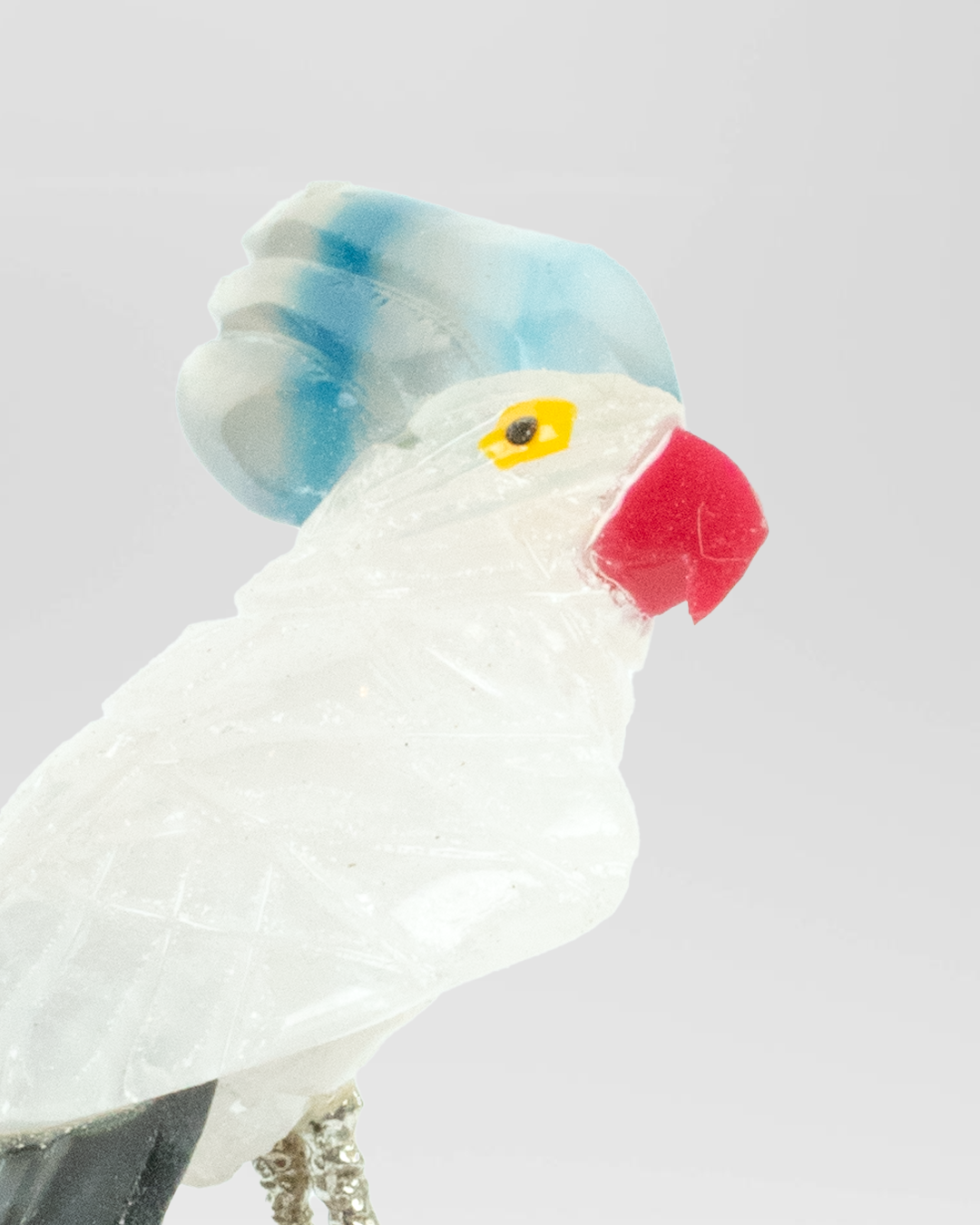 Small Calmana Bird