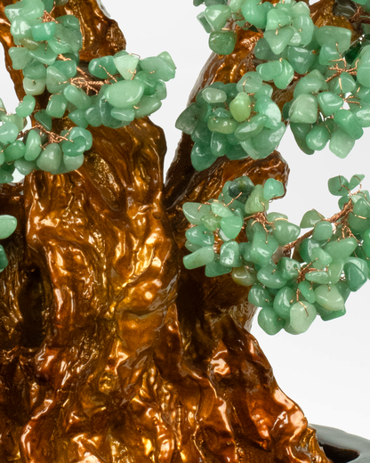 Bonsai Green Jade