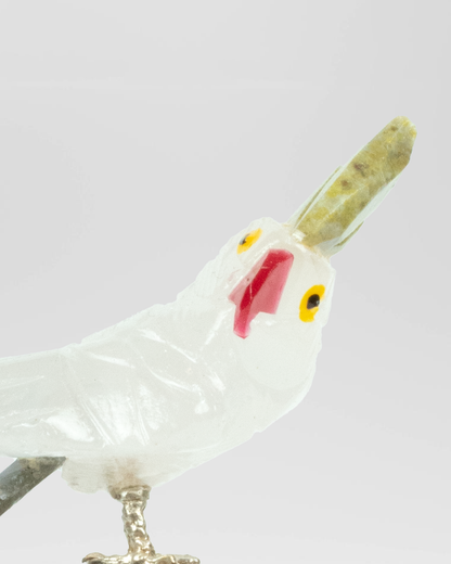 Small Eira Bird