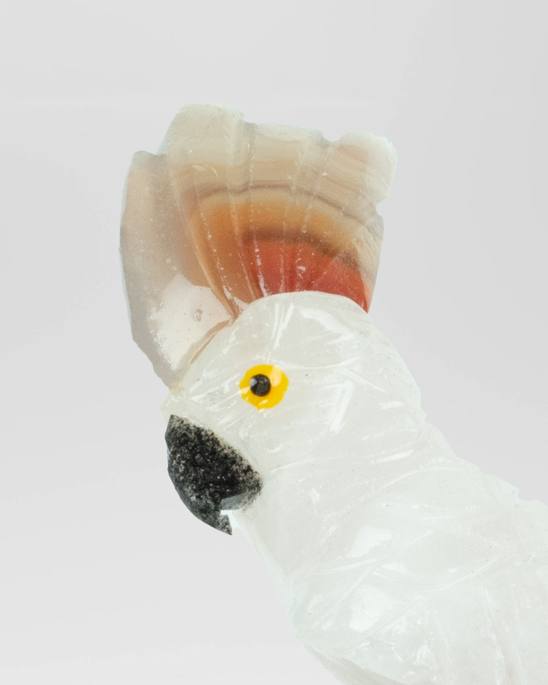 Small Rootlight Bird